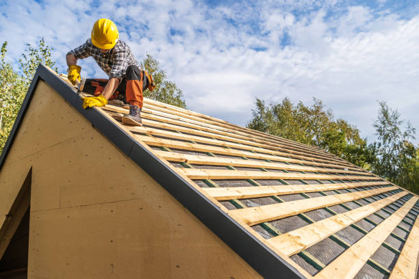 Best Roof Gutter Cleaning  in Martinez, GA